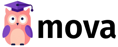 system logo